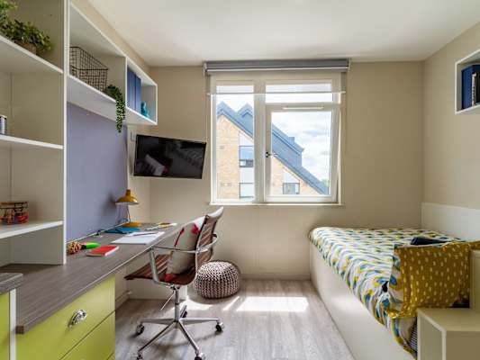 Gold Studio room type